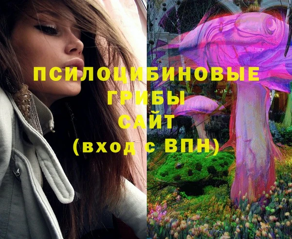 молекула духа Лагань