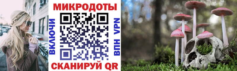Купить где  Голицыно  Псилоцибиновые грибы Psilocybine cubensis 